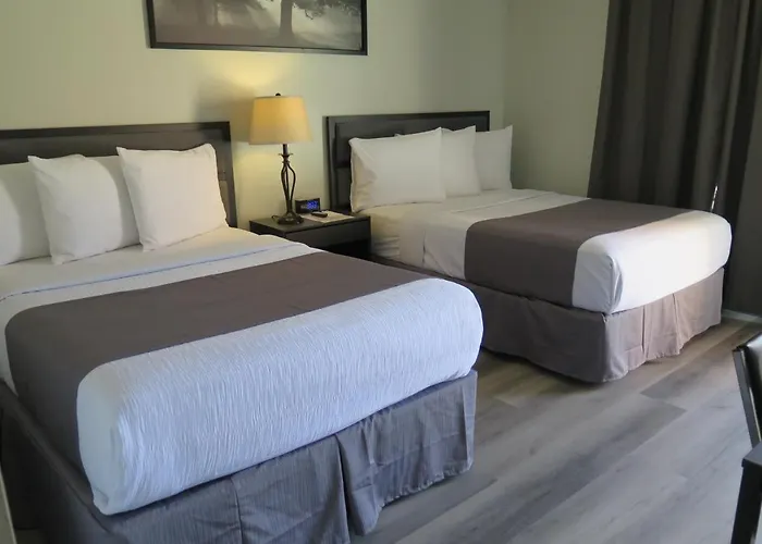 Dtla Hotel